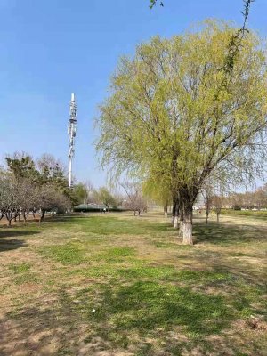 華通“活動日”，快樂工作、幸福生活